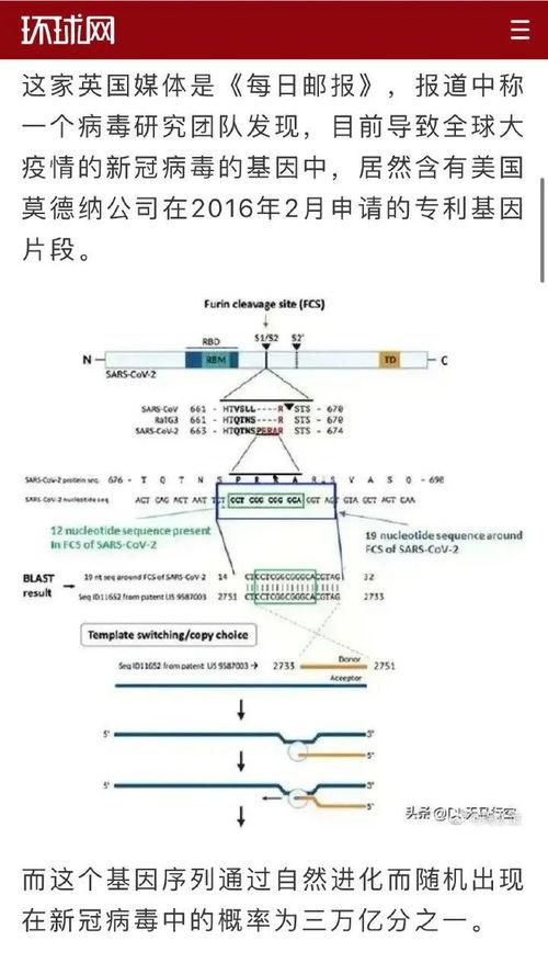 美国新病毒爆料视频最新,最新爆料视频曝光惊人真相 第1张 美国新病毒爆料视频最新,最新爆料视频曝光惊人真相 第1张