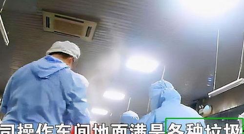 配餐爆料视频下载,视频爆料带你探秘后厨操作 第1张 配餐爆料视频下载,视频爆料带你探秘后厨操作 第1张