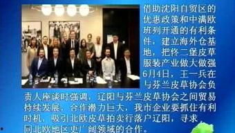 最新辽阳爆料事件新闻,揭秘背后真相与争议焦点 第1张 最新辽阳爆料事件新闻,揭秘背后真相与争议焦点 第1张