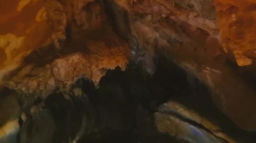 独闯无洞电影在线观看,孤胆英雄的惊险冒险之旅  第1张