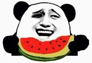 网红吃瓜群众免费吃瓜视频,揭秘热门视频幕后故事 第1张 网红吃瓜群众免费吃瓜视频,揭秘热门视频幕后故事 第1张