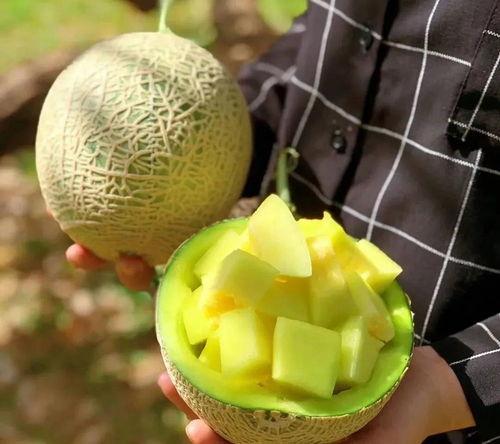 娱乐吃瓜大瓜,独家揭秘明星们的幕后故事 第1张 娱乐吃瓜大瓜,独家揭秘明星们的幕后故事 第1张